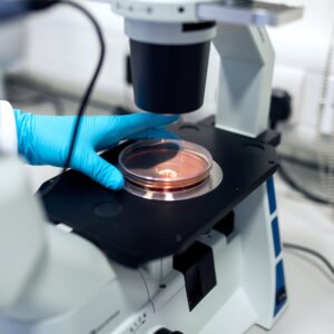 Comprar biopsia prostática y RM combinada de próstata en MIDIAGNOSTICO.