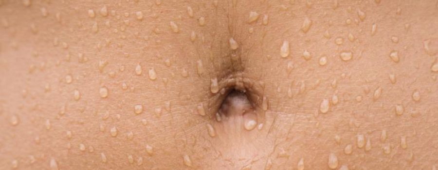 Comprar ecografía abdominal, ecografía de abdomen, eco de abdomen.