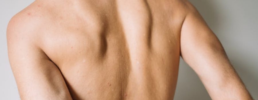 Ecografía simple, eco simple, ultrasonido simple.